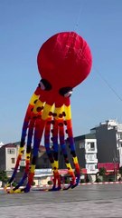 Thả diều bạch tuộc khổng lồ 30 mét bay lên trời đẹp quá..#layangan #patang #kiteflying #पतंग #shotrs