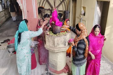 आंवला नवमी 2025: मंदिरों में सजी ठाकुरजी की झांकी, महिलाओं ने आंवले के पेड़ की परिक्रमा लगाई