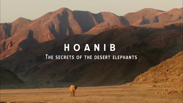 Documental - Hoanib - Los secretos de los elefantes del desierto - HOANIB: Elefantes del Desierto: La Increíble Lucha por la Vida en la Arena [DOCUMENTAL COMPLETO]