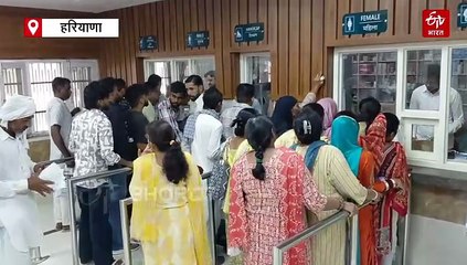 सिरसा जिले में डेंगू के 275 मरीज मिले, राजस्थान से सटे गांवों में ज्यादातर केस