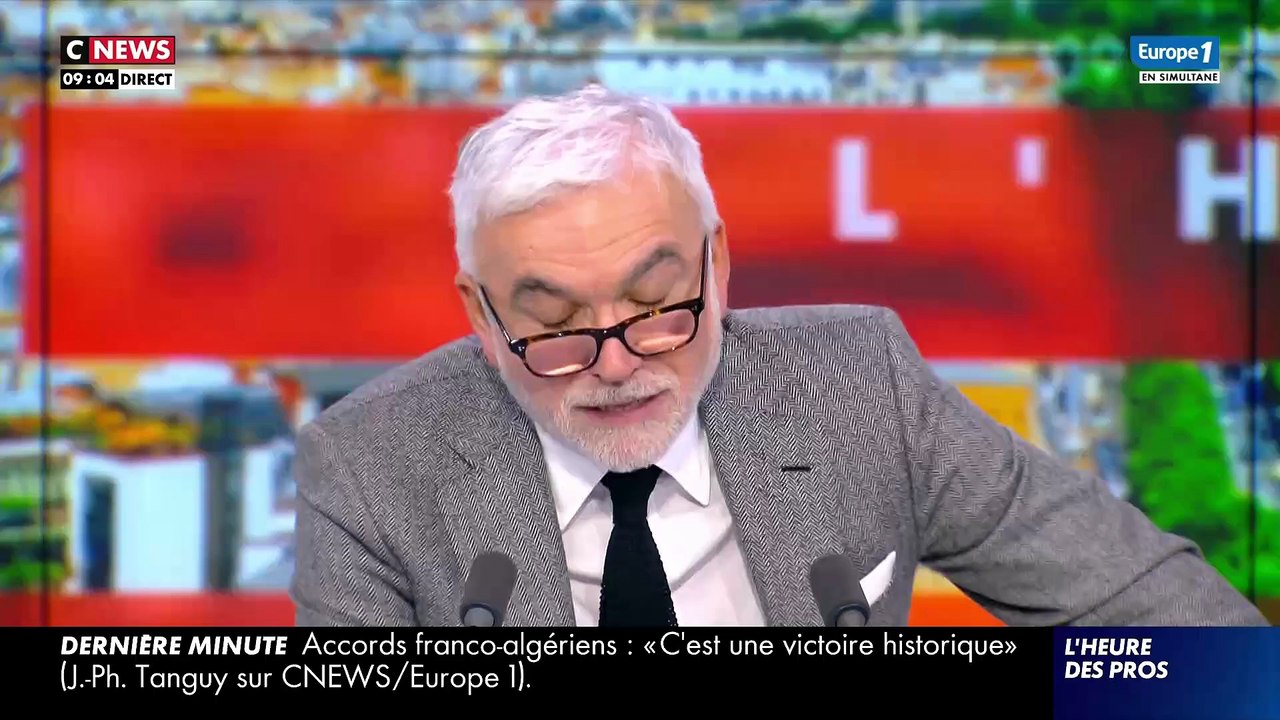 Un chat condamné par le tribunal de Béziers - VIDEO