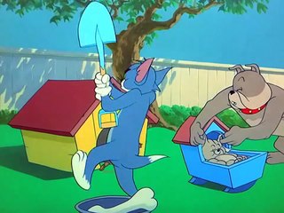 Tom And Jerry - 082 - Hic-Cup Pup (1954)