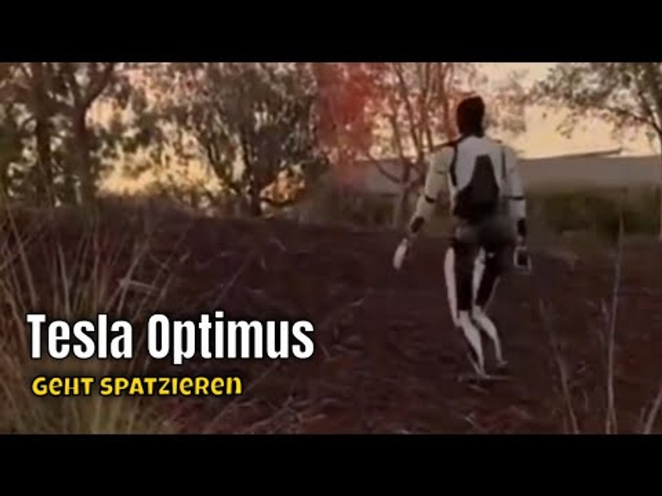 Krasse Vorführung - Tesla Optimus: Roboter meistert problemlos schwieriges Gelände