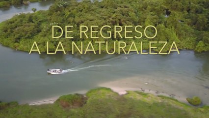 Documental - De regreso a la naturaleza - DOCU-IMPRESCINDIBLE: De Regreso a la Naturaleza y el Impacto de un Nuevo Comienzo 🌲