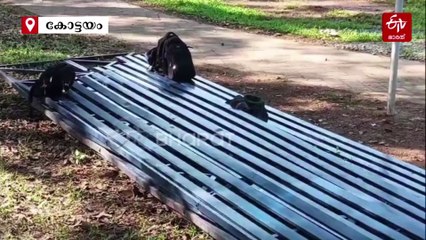 കോളജ് ഗ്രൗണ്ടിലെ താത്‌കാലിക ഗ്യാലറി തകർന്നു; 15 വിദ്യാർഥികൾക്ക് പരിക്ക്