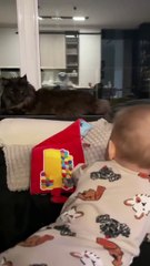 Funny Baby and His Babysitter — Pure Love Caught on Camera ❤️ #cat #love #funniest #cutest #baby #funnybaby #shorts #love #baby #babysitter #viralcats #funnycats #cutecats #adorablecats #trendingcats #fyp