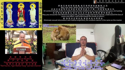 251031楞严咒金刚经于清迈SR公寓