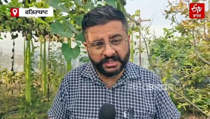 ਕਿਸਾਨ ਰਵੀ ਨੇ ਉਗਾਈ 6 ਫੁੱਟ ਲੰਬੀ ਲੌਕੀ, ਪ੍ਰਤੀ ਏਕੜ 6 ਲੱਖ ਰੁਪਏ ਤੱਕ ਦੀ ਕਰਦਾ ਹੈ ਕਮਾਈ, ਕਸ਼ਮੀਰੀ ਅਤੇ ਅਫਗਾਨੀ ਲਸਣ ਵੀ ਫਾਇਦੇ ਦਾ ਸੌਦਾ