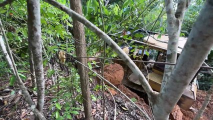 The Struggle of the D6R XL Bulldozer Opening a New Road in the Mountain