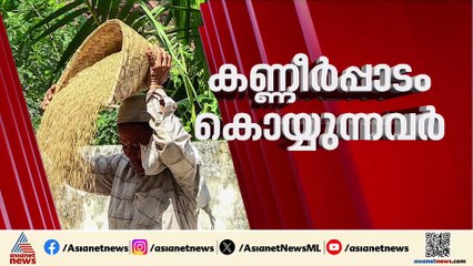 നെല്ല് സംഭരണ പ്രതിസന്ധി; പ്രശ്നം പരിഹരിക്കാൻ സർക്കാർ, ആശങ്കയിൽ കർഷകർ