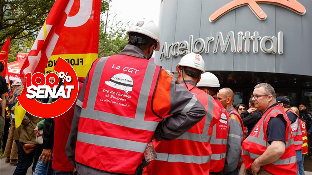 100% Sénat - Nationalisation des sites ArcelorMittal : le Sénat dit non