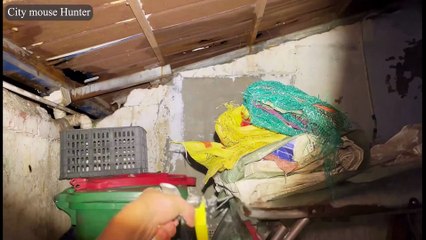 Slingshot Rat Siege: Headshots in the Next Estate, Market & School Gate