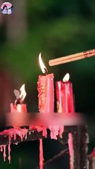 bowing to his silent rose chinese drama💖telegram@linkeex)