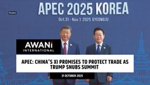 APEC: China's Xi promises to protect trade as Trump snubs summit