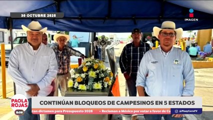 Campesinos cumplen 4 días de bloqueos por precio del maíz | DPC con Paola Rojas