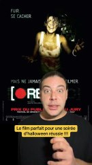 Rec c’est LE film d’horreur parfait pour une soirée d’halloween réussie !!! C’est dispo sur Shadowz 😉