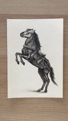 Dessin d’un cheval sur le thème d’Halloween #dessin #drawing #halloween