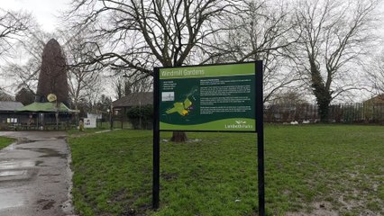 Look around London: The Brixton Windmill