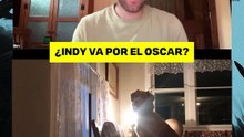 Good Boy: el perrito Indy ¿Va por el Oscar?