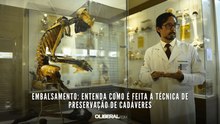 Embalsamento: entenda como é feita a técnica de preservação de cadáveres