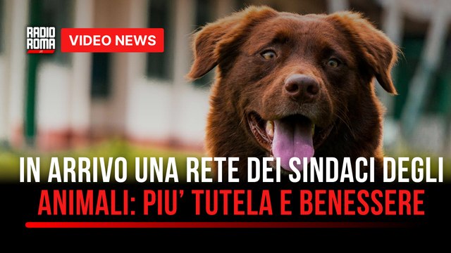 Campidoglio, arriva una rete dei sindaci degli animali: più tutela e benessere