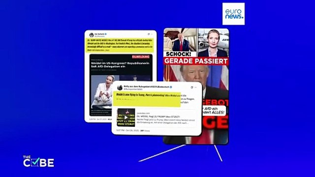 آیا ترامپ «آلیس وایدل» از حزب آلترناتیو برای آلمان را به کاخ سفید دعوت کرده است؟