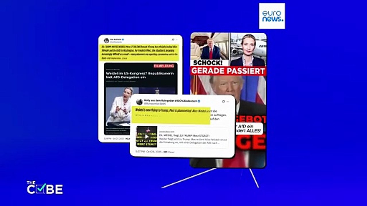 آیا ترامپ «آلیس وایدل» از حزب آلترناتیو برای آلمان را به کاخ سفید دعوت کرده است؟