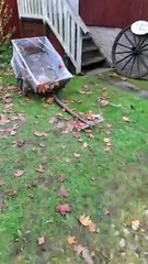 I Wadköping och Predikar. 31 Okt. 2025