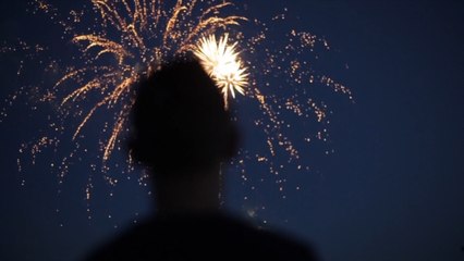 Bonfire Night: How best to care for your pets