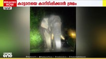 മലക്കപ്പാറ റോഡിൽ കാട്ടാനയെ കാറിടിപ്പിക്കാൻ ശ്രമിച്ചവർ പിടിയിൽ