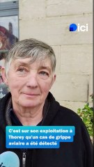 Thorey-sur-Ouche : Valerie Desfetes, éleveuse touchée par la grippe aviaire