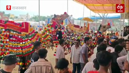 पुष्कर मेले में ऊंटों की डांस प्रतियोगिता, धुन पर थिरकते ऊंटों ने सबका मन मोहा, कमेटी के निर्णय पर पशुपालकों को आपत्ति