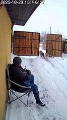 Terrifying Wolf Attack on Man Sitting Alone | Caught on Security Camera 🥶