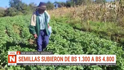 NO HAY DIÉSEL PARA TRANSPORTAR PRODUCCIÓN