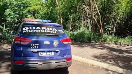 GM e PM fecham o cerco e fazem buscas por suspeito de furto na região do Mutirão do Santa Cruz, em Cascavel