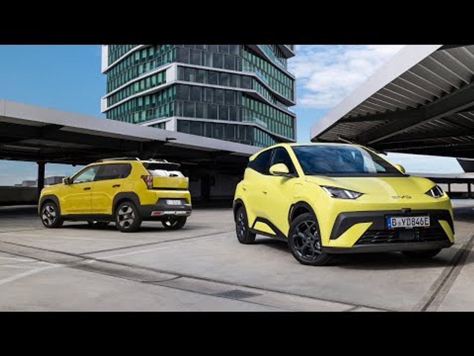 Byd dolphin surf vs. fiat grande panda – welcher city-stromer überzeugt?