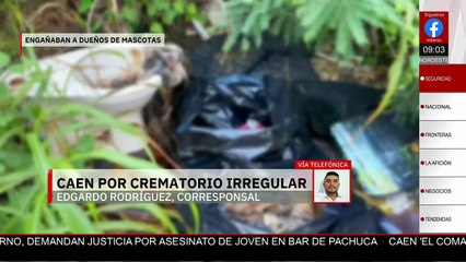 Detienen al dueño del crematorio “Casa Xibalbá” en Chetumal; hallan 150 cuerpos de mascotas