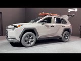 2026 Toyota RAV4 Woodland – Outdoor-Hybrid mit 320 PS & 80 km E-Reichweite