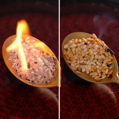 Checking real and artificial food🧀The results are amazing!😋