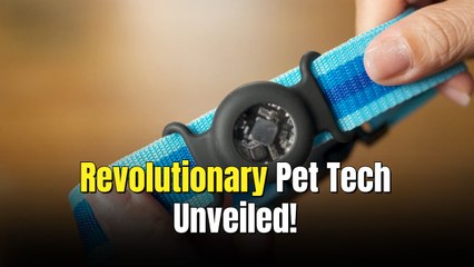 Best Smart Pet Tech Gifts for the Holidays 2025