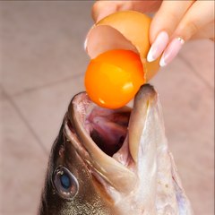 Save food and money with these preservation hacks! 💰