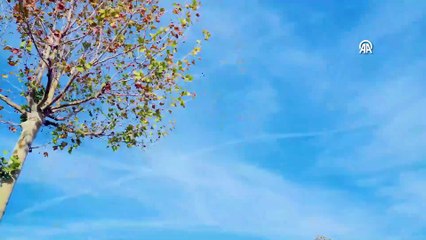 Cumhurbaşkanı Erdoğan: Atatürk Havalimanı Millet Bahçemiz, İstanbul'umuza hizmet etmeye hazır