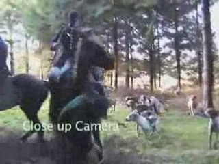 Foxhunter on Horse tramples campaigner