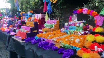 Disfrutan más de mil 200 personas la celebración del Día de Muertos "Merequetengue"