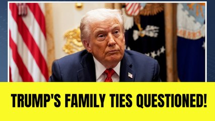 'The way the presidency works now... put money in Trump’s pocket'