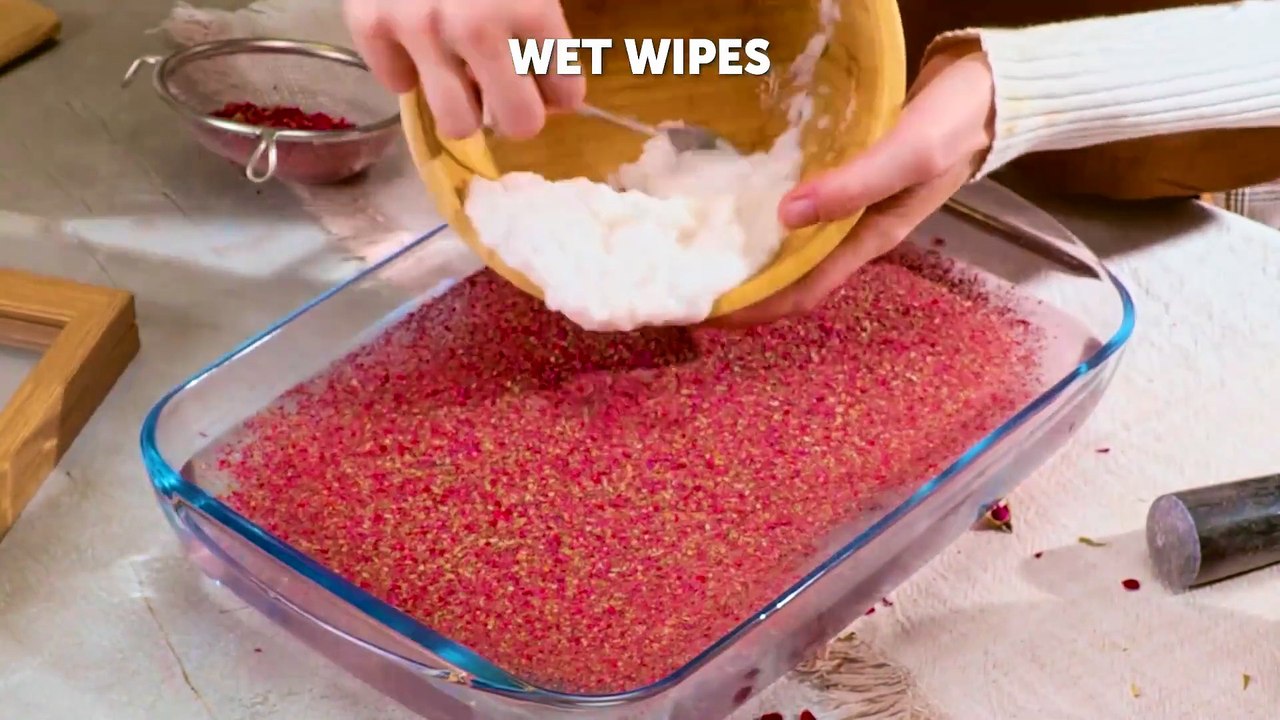 Authentic leather bag made from Aloe vera as a new Eco-Friendly alternative 👜