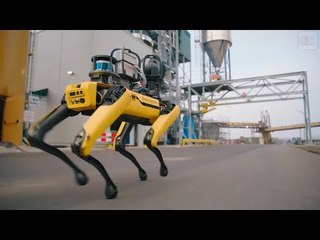 Roboterhund "Spot" von Boston Dynamics beim Cargill-Sicherheits-Check