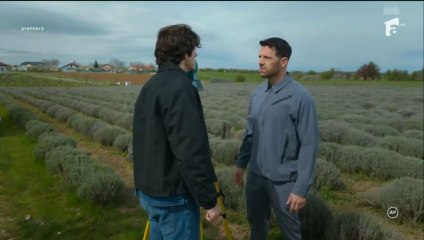 Iubire cu parfum de lavandă Sezonul 3 Episodul 8 din 31.10.2025 Part 1