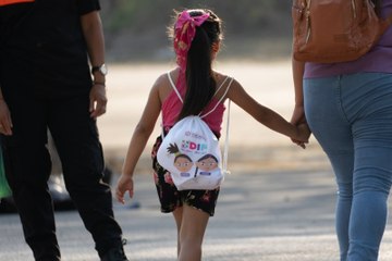 ¿Cuántas adopciones se han realizado en Yucatán en este 2025?