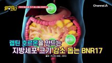 체지방 다이어트를 돕는 BNR17, 섭취 후 허리둘레에도 변화가 있었다?!